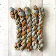 Load image into Gallery viewer, NEW YORK IN THE FALL | sleek sock | speckled yarn