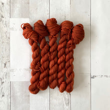 Load image into Gallery viewer, PUMPKIN SPICE | stellar sock | tonal yarn