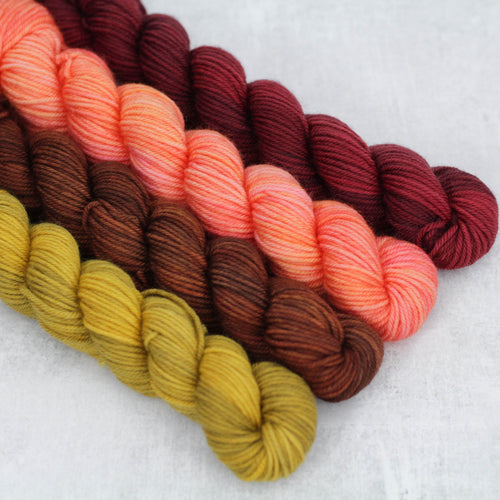 CHAI | stellar sock mini set | speckled yarn