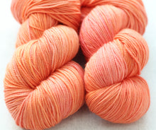 Load image into Gallery viewer, PINK GRAPEFRUIT | lux | tonal yarn