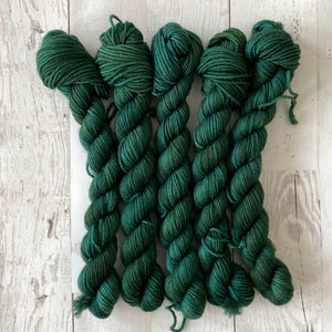 TWEAKING | stellar sock | tonal yarn