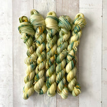 Load image into Gallery viewer, DAISIES ARE THE FRIENDLIEST FLOWER | sleek sock | speckled yarn